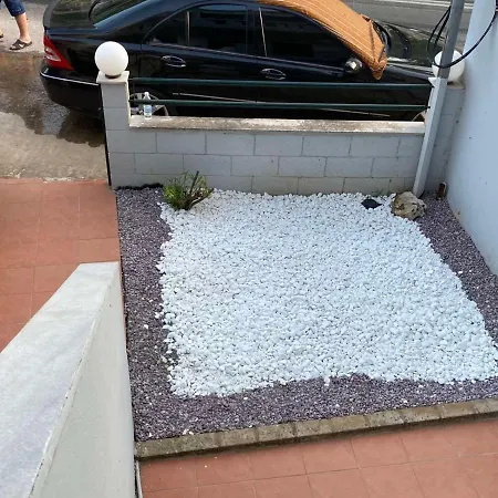 فيلة Enjoy Golden